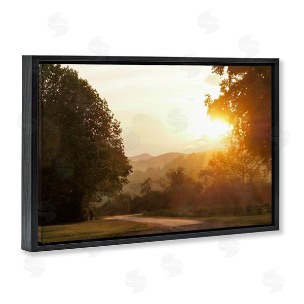 Stupell Industries Gail Peck | Golden Morning Between Trees Wall Art