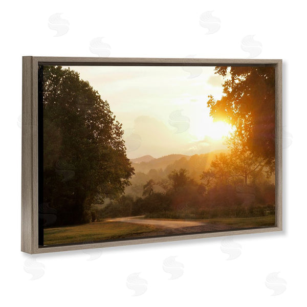 Stupell Industries Gail Peck | Golden Morning Between Trees Wall Art