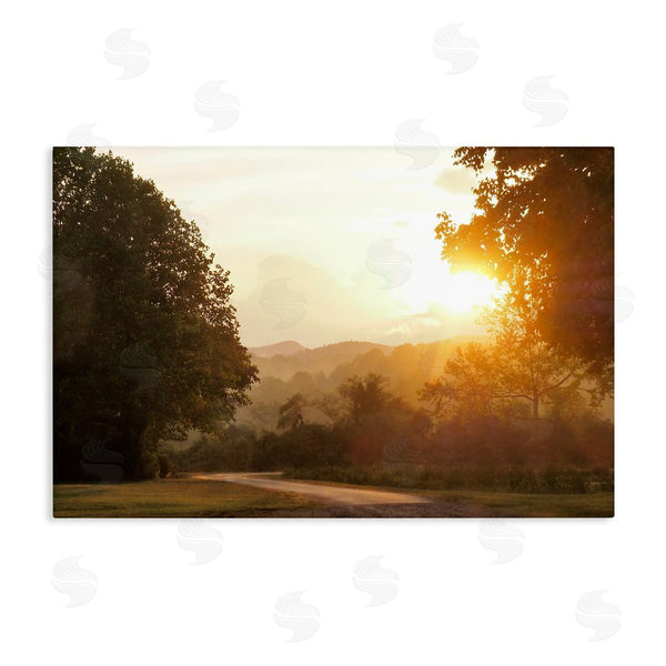 stupell industries Gail Peck | Golden Morning Between Trees Wall Art