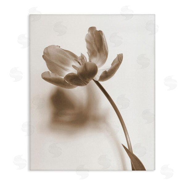 stupell industries Gail Peck | Minimal Tulip Stem Wall Art