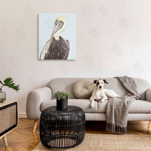 Stupell Industries Gail Peck | Preening Pelican Photography Wall Art