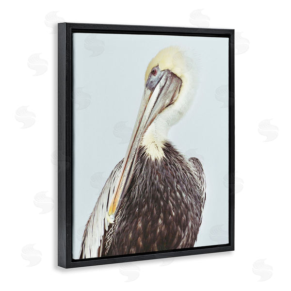 Stupell Industries Gail Peck | Preening Pelican Photography Wall Art