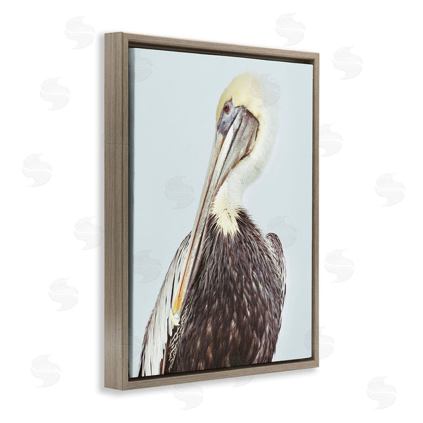 Stupell Industries Gail Peck | Preening Pelican Photography Wall Art