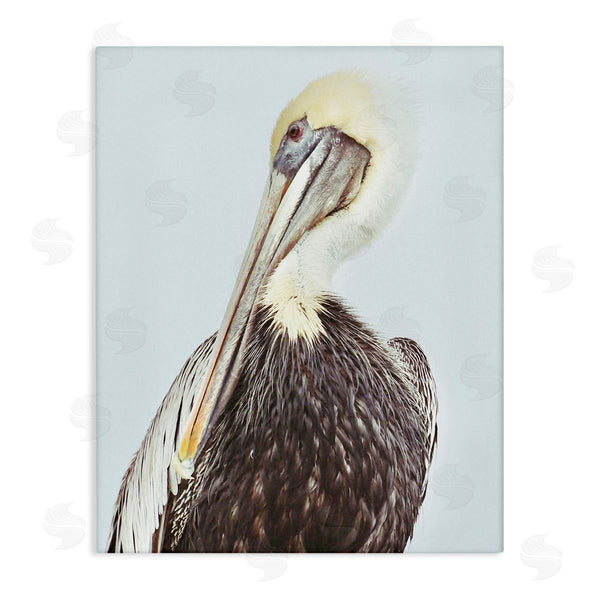 stupell industries Gail Peck | Preening Pelican Photography Wall Art