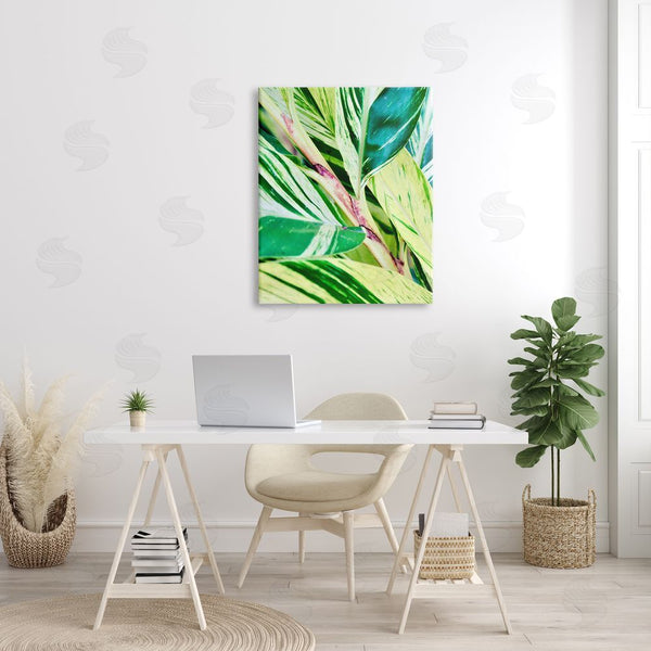 Stupell Industries Gail Peck | Tropical House Plant Leaves Close Up Photography Wall Art