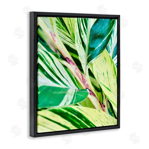 Stupell Industries Gail Peck | Tropical House Plant Leaves Close Up Photography Wall Art