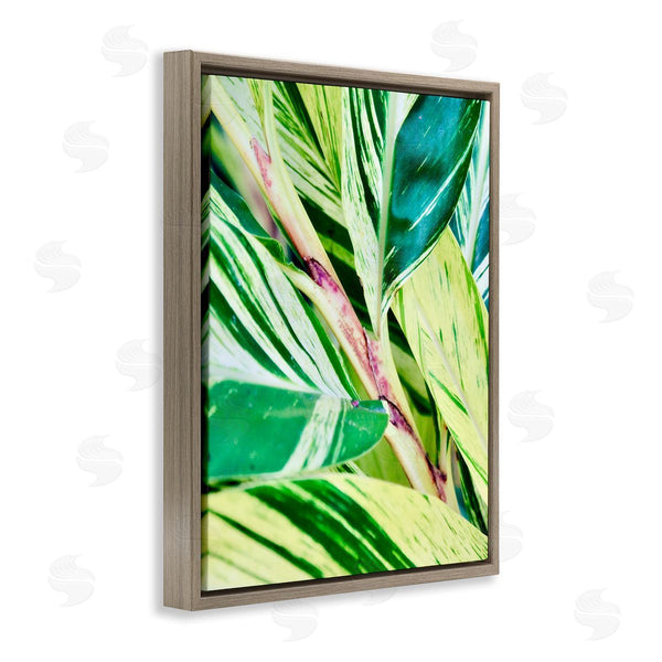Stupell Industries Gail Peck | Tropical House Plant Leaves Close Up Photography Wall Art