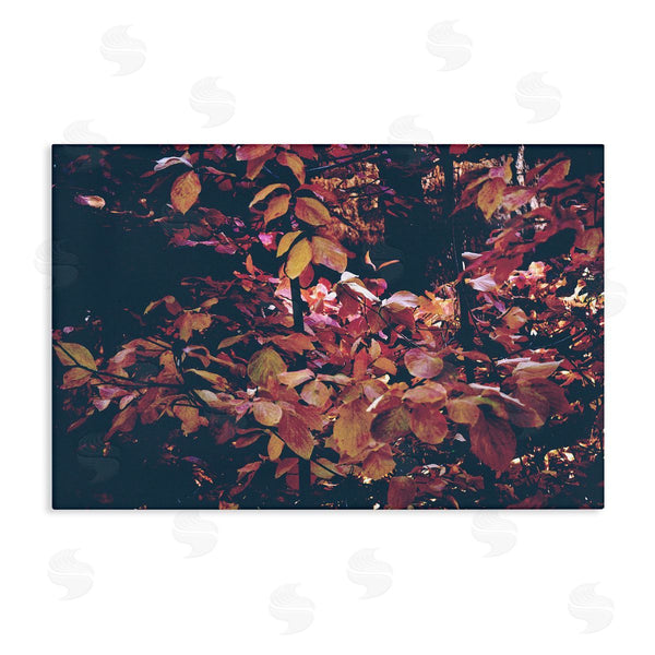 stupell industries Gemma Bardot | Dusky Forest Leaves