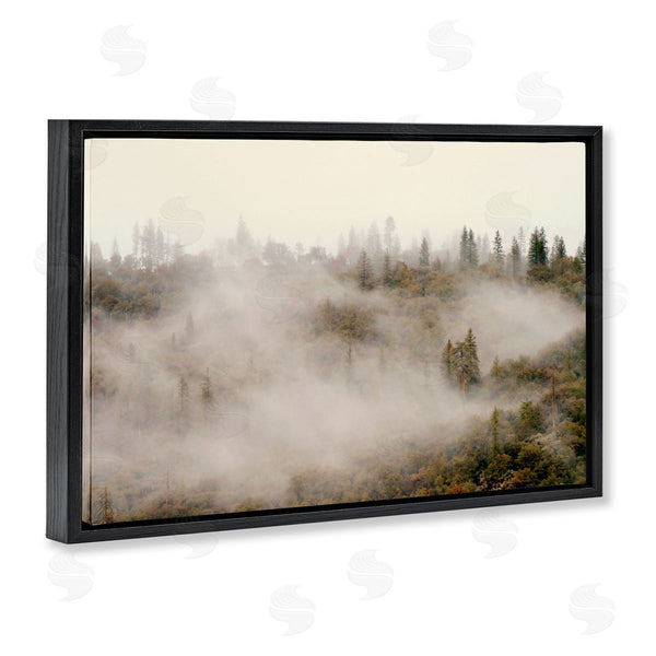 Stupell Industries Gemma Bardot | Morning Fog Over Trees