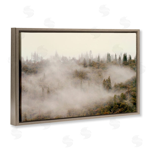 Stupell Industries Gemma Bardot | Morning Fog Over Trees