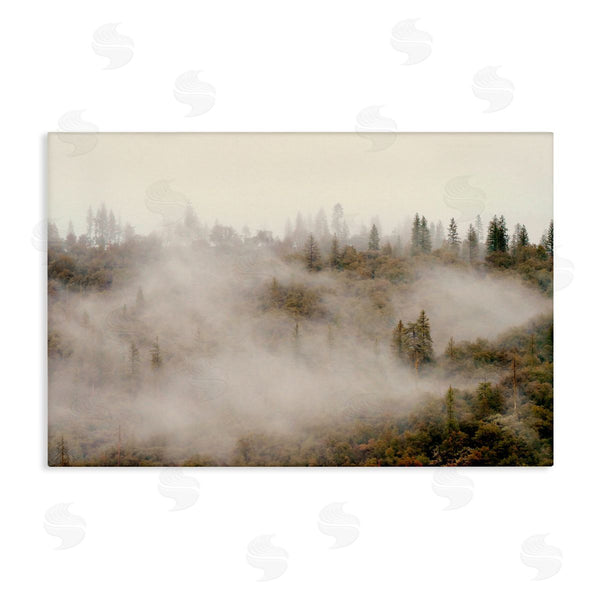stupell industries Gemma Bardot | Morning Fog over Trees