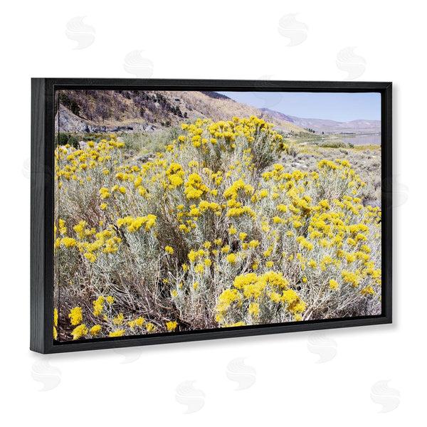 Stupell Industries Gemma Bardot | Yellow Flowers In Arid Meadow