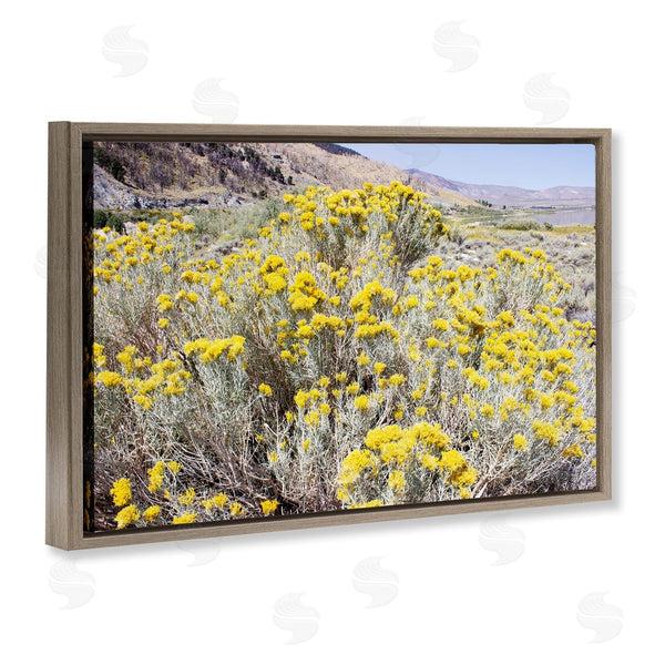 Stupell Industries Gemma Bardot | Yellow Flowers In Arid Meadow