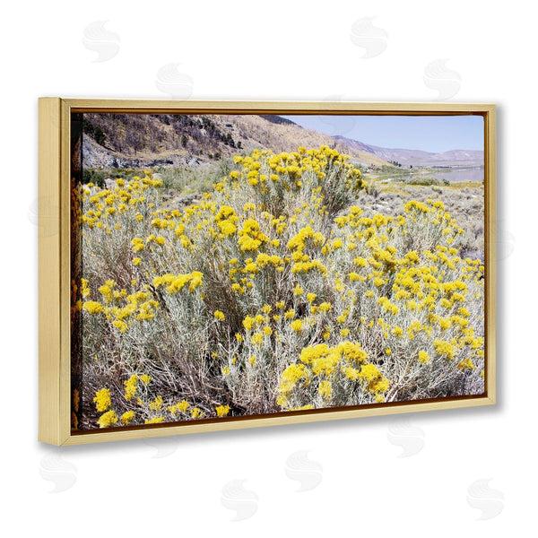 Stupell Industries Gemma Bardot | Yellow Flowers In Arid Meadow