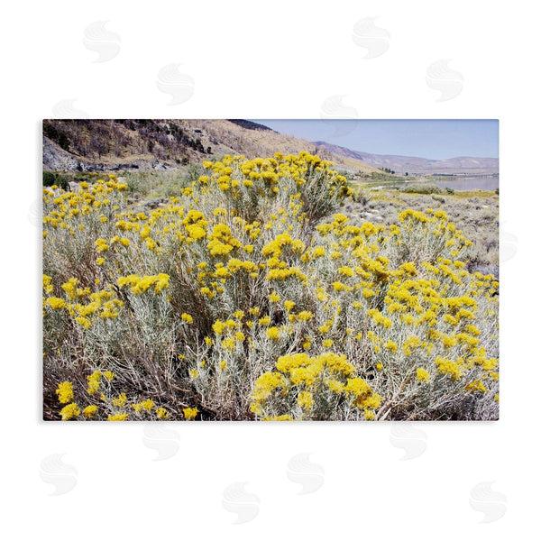 stupell industries Gemma Bardot | Yellow Flowers in Arid Meadow