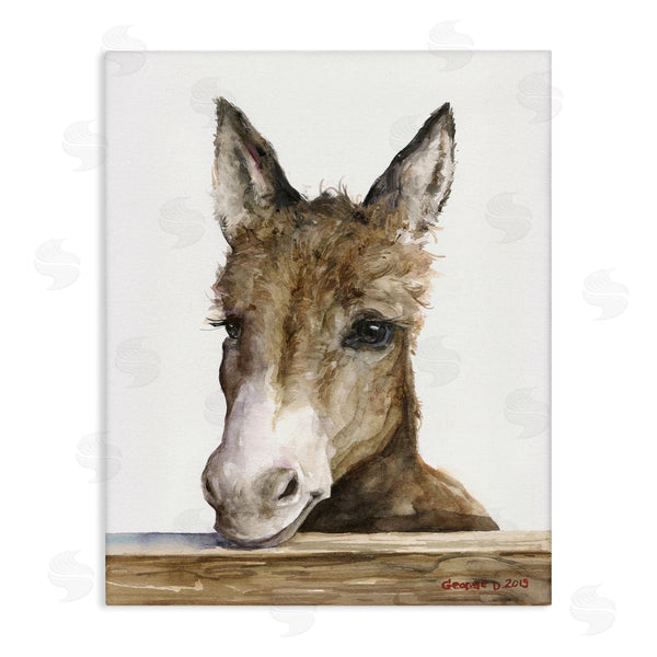 stupell industries George Dyachenko | Baby Donkey Portrait Adorable Farm Animal Wall Art