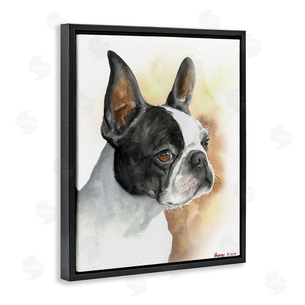 Stupell Industries George Dyachenko | Boston Terrier Pet Dog Portrait Black Brown