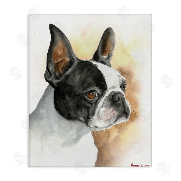 stupell industries George Dyachenko | Boston Terrier Pet Dog Portrait Black Brown