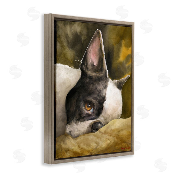Stupell Industries George Dyachenko | Boston Terrier Resting Dog Pet Portrait Black Brown