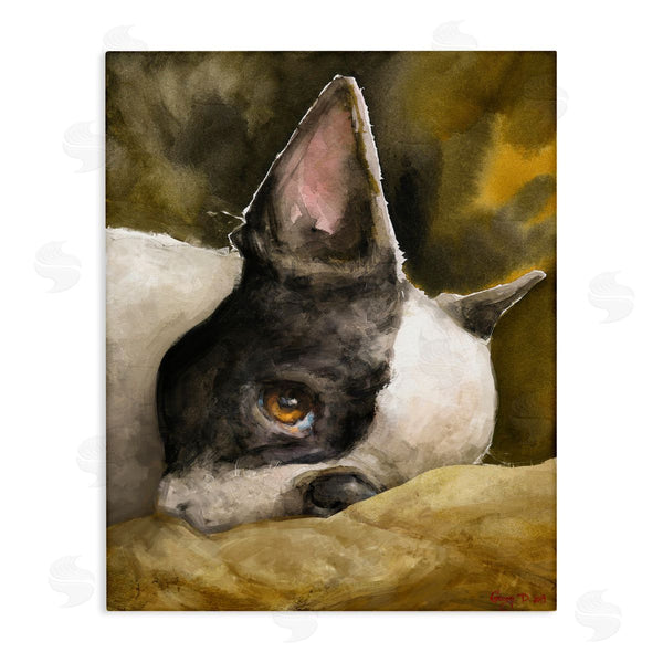 stupell industries George Dyachenko | Boston Terrier Resting Dog Pet Portrait Black Brown