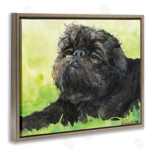 Stupell Industries George Dyachenko | Brussel Griffon Pet Dog Portrait Green Black