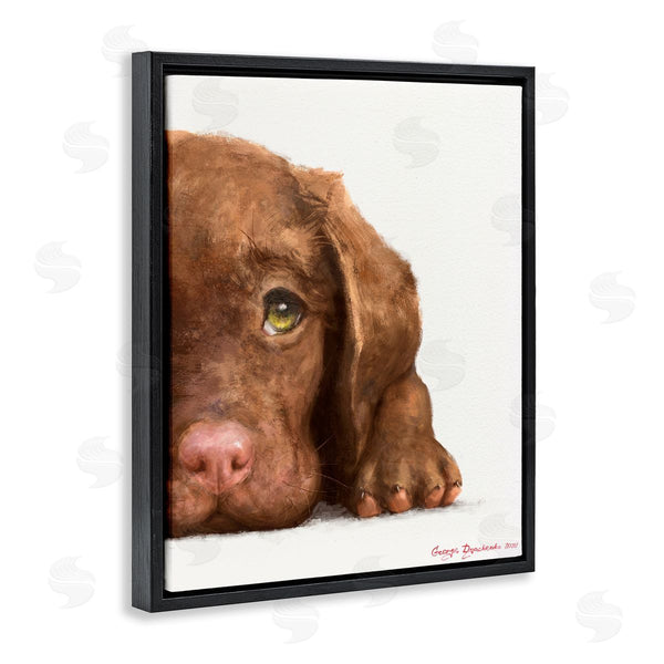Stupell Industries George Dyachenko | Chocolate Labrador Puppy Resting Adorable Dog Portrait Wall Art