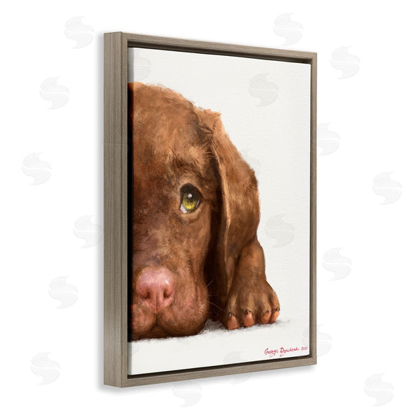 Stupell Industries George Dyachenko | Chocolate Labrador Puppy Resting Adorable Dog Portrait Wall Art