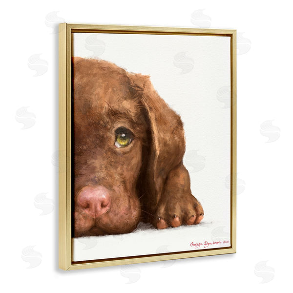 Stupell Industries George Dyachenko | Chocolate Labrador Puppy Resting Adorable Dog Portrait Wall Art