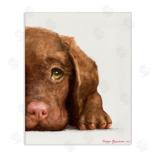 stupell industries George Dyachenko | Chocolate Labrador Puppy Resting Adorable Dog Portrait Wall Art