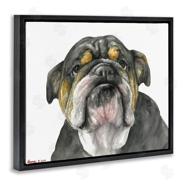 Stupell Industries George Dyachenko | Chubby Bulldog Portrait Old Dog Charm Black Brown Wall Art