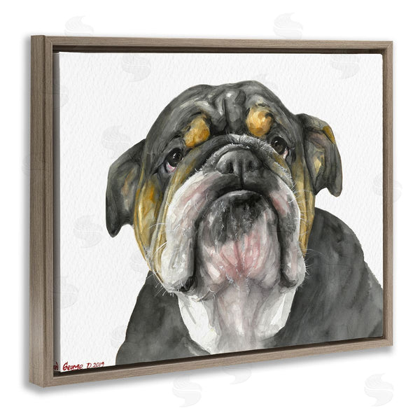 Stupell Industries George Dyachenko | Chubby Bulldog Portrait Old Dog Charm Black Brown Wall Art
