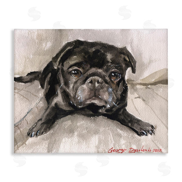stupell industries George Dyachenko | Cozy Pug Relaxing Wall Art