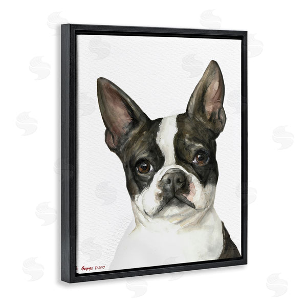 Stupell Industries George Dyachenko | Curious Boston Terrier Portrait Pet Dog Watercolor