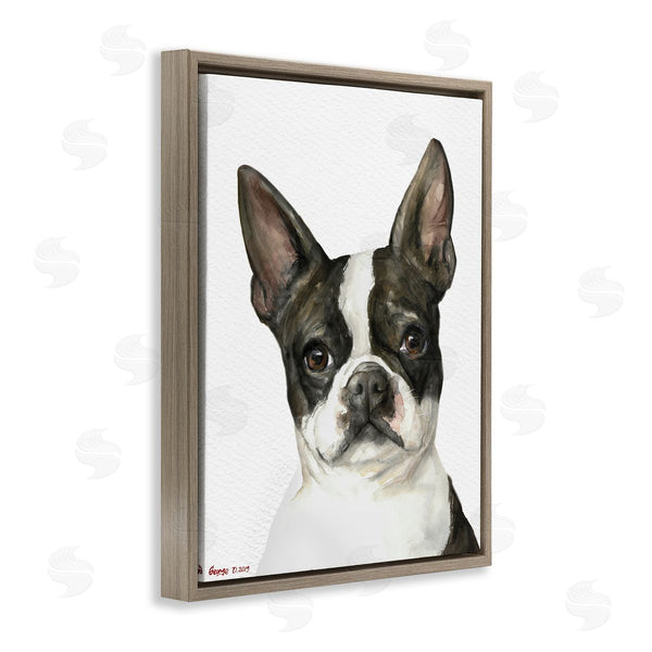 Stupell Industries George Dyachenko | Curious Boston Terrier Portrait Pet Dog Watercolor