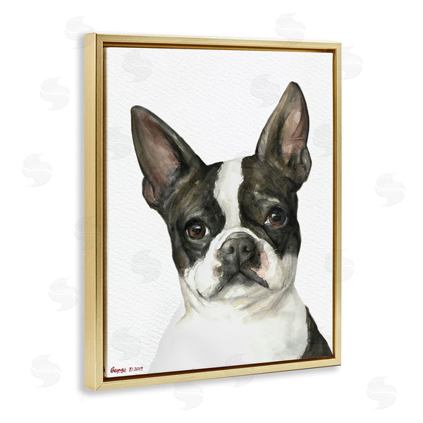 Stupell Industries George Dyachenko | Curious Boston Terrier Portrait Pet Dog Watercolor