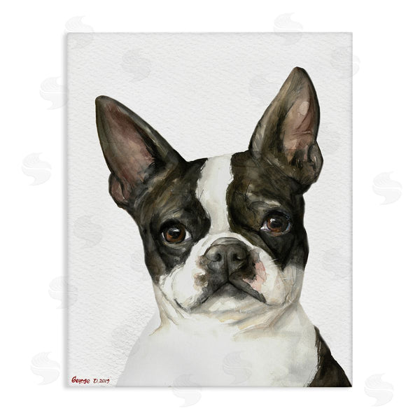 stupell industries George Dyachenko | Curious Boston Terrier Portrait Pet Dog Watercolor
