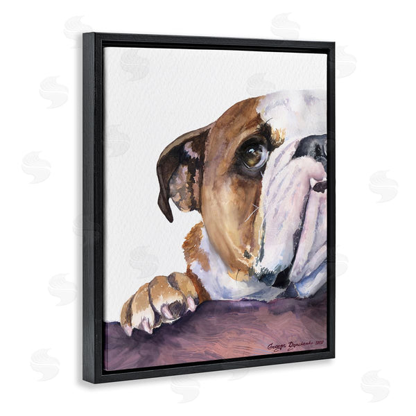 Stupell Industries George Dyachenko | Curious English Bulldog Gaze Pet Dog Portrait