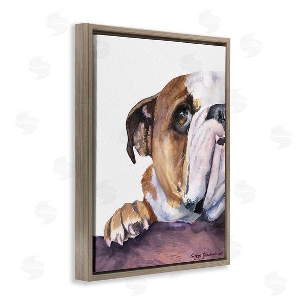 Stupell Industries George Dyachenko | Curious English Bulldog Gaze Pet Dog Portrait