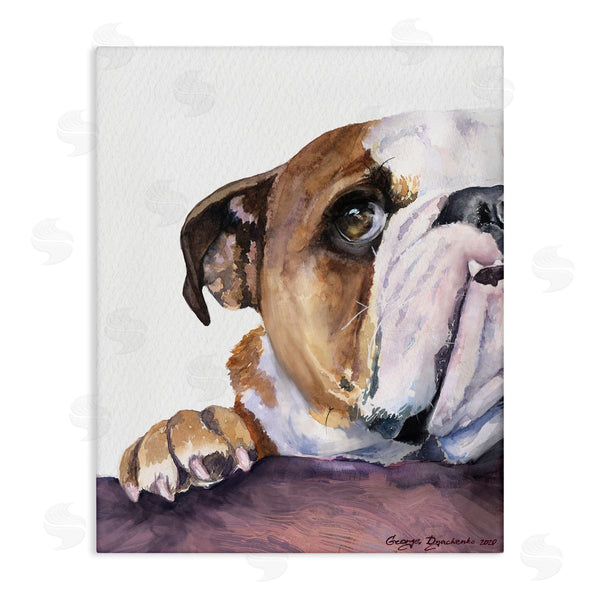 stupell industries George Dyachenko | Curious English Bulldog Gaze Pet Dog Portrait