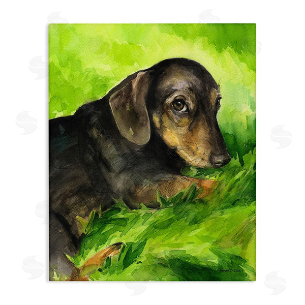 stupell industries George Dyachenko | Dachshund Relaxing in Grass Wall Art