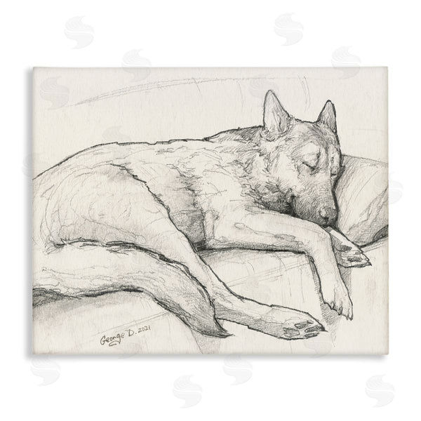 stupell industries George Dyachenko | Dog Curled Up Resting Detailed Graphite Pencil Drawing Wall Art
