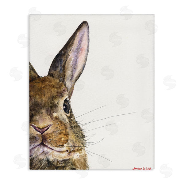 stupell industries George Dyachenko | Farm Rabbit Gaze Adorable Whiskered Animal
