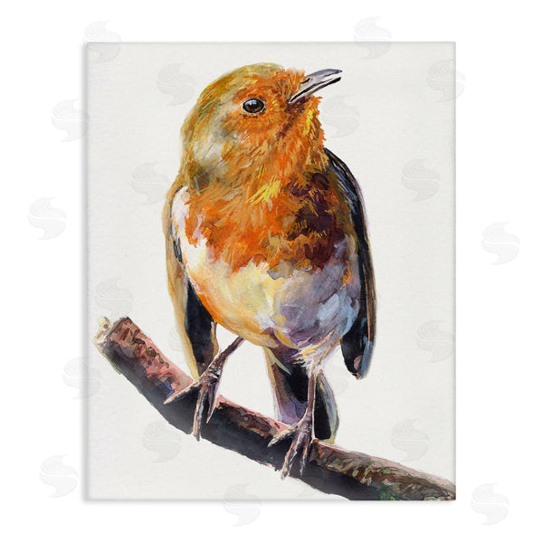 stupell industries George Dyachenko | Orange European Robin Perched Bird Portrait