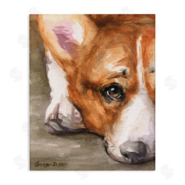 stupell industries George Dyachenko | Pleasant Corgi Puppy Dog Gazing Lying Down Wall Art