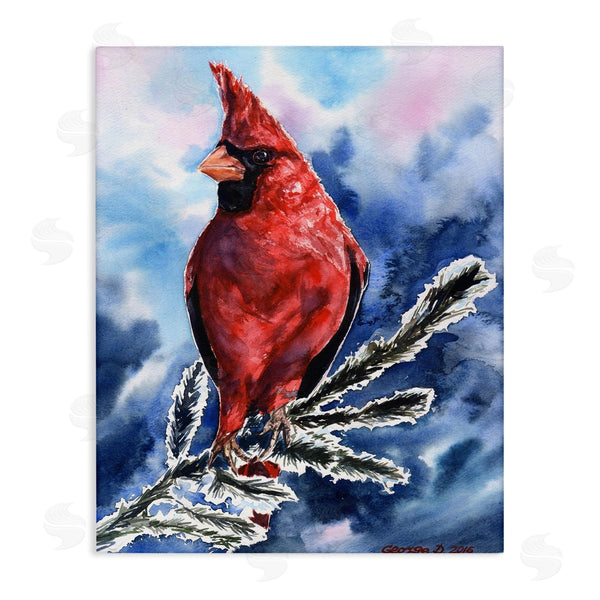 stupell industries George Dyachenko | Red Cardinal Perched on Pine Branch over Blue