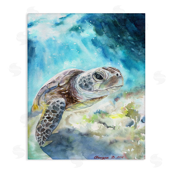 stupell industries George Dyachenko | Sea Turtle Ocean Watercolor