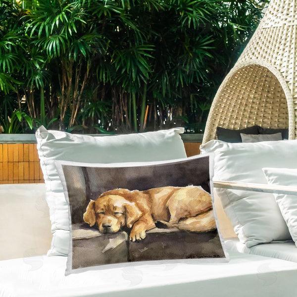 Stupell Industries George Dyachenko | Sleeping Golden Retriever