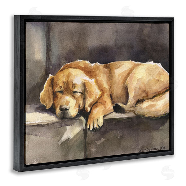 Stupell Industries George Dyachenko | Sleeping Golden Retriever Wall Art