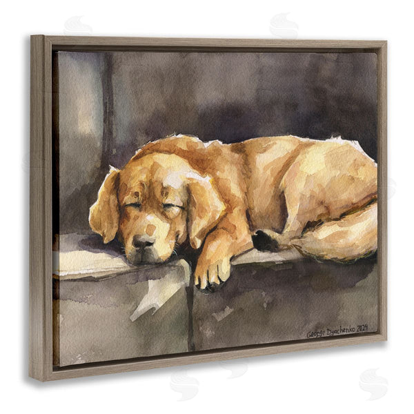 Stupell Industries George Dyachenko | Sleeping Golden Retriever Wall Art