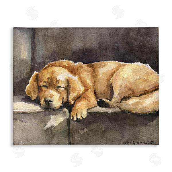 stupell industries George Dyachenko | Sleeping Golden Retriever Wall Art